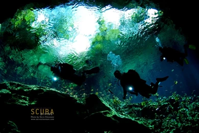Scuba Wallpapers
