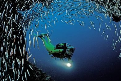 Scuba diving wallpapers