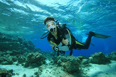 Scuba Diving Diver Ocean Sea Underwater Wallpapers