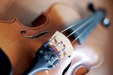 Cool Violin Music Photography Hd Desktop Wallpapers