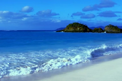 Scuba Diving (id: 180775) – BUZZERG