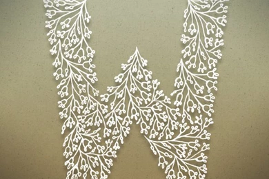 Alphabet Letter W Hd Wallpapers