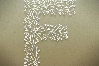 Alphabet Letter F Hd Wallpapers