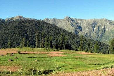 Hot Wallpapers: Free Download Widescreen Wallpapers For Desktop