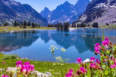 Natural Wallpapers Collection (35+)