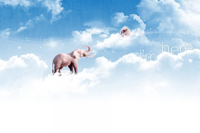 Wallpapers Computer Background, Don't Cry, Baby, Mom Is Always ...