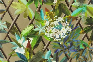 Canopy   Or Wallpapers