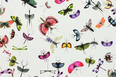 Christian Lacroix Mariposa Wallpapers