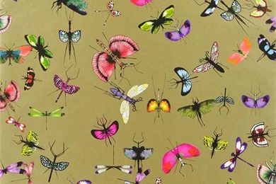 Mariposa   Or Wallpapers