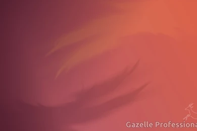 Gazelle Professional Wallpapers By Indigo196 On DeviantArt