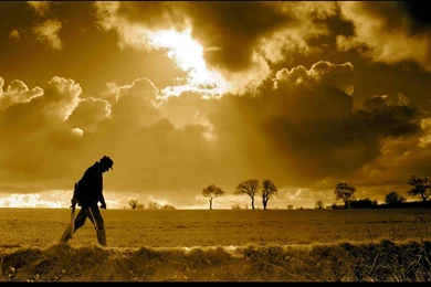 Top Best Wallpapers   HD Wallpapers And Pictures