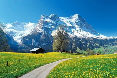 Compare Prices On 3d Scenery Wallpaper  Online Shopping/Buy Low ...