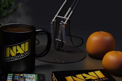 Download Wallpapers 1080x1920 Natus Vincere, Navi, Computer, Phone ...