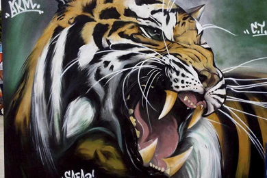 Tiger Graffiti Desktop Wallpapers Free Downloads