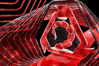 Brotherhood Of Nod Logo   War Games Wallpapers Image Featuring ...