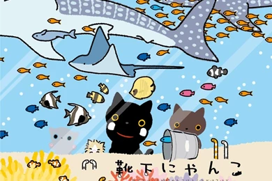 Top Kawaii Bunnies Wallpapers Photo Wallpapers