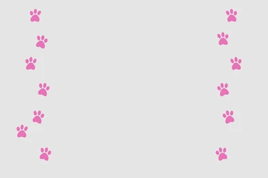 14 Pink Panther Fondos De Pantalla HD