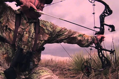 Stalk Hunting Mule Deer With A Bow Can Be Hard Heartland ...