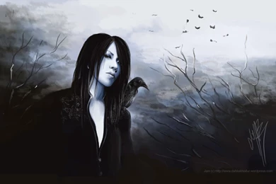 C R O W Wallpapers By Japanmeonly On DeviantArt