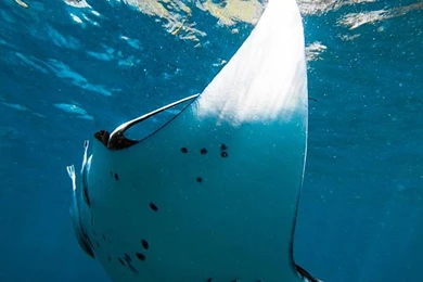 Travel & Underwater Photography By Tommy Schultz