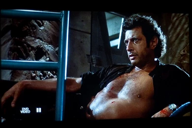 Jeff Goldblum Quotes. QuotesGram