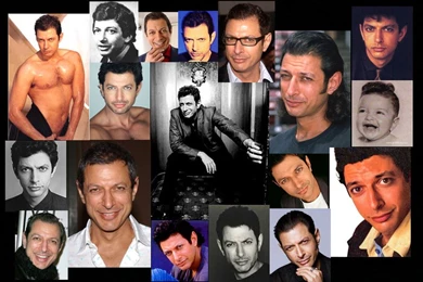 Wallpapers On Jeff Goldblum Fans   DeviantArt