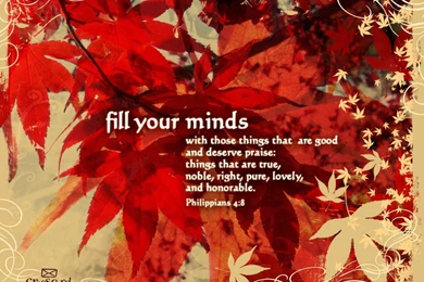 Animated Desktop Wallpapers   Free Animated Desktop Backgrounds ...