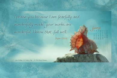 Top Crosscards Wallpapers