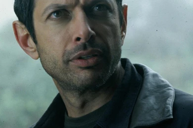 Pictures Of Jeff Goldblum   Pictures Of Celebrities