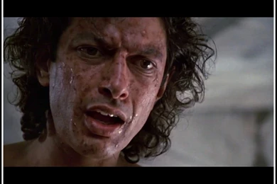 Let's Take Another Look At Jeff Goldblum In “The Fly”