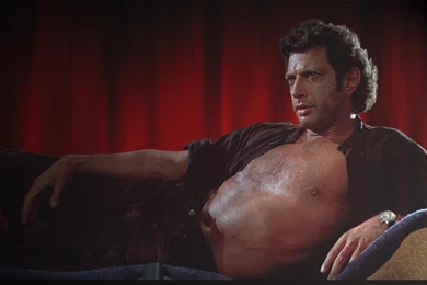 I Require A Velvet Painting Of This. : Movies