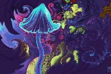 Study Says: Skip Breakfast, Take Some LSD Notes & Errata By Mark ...