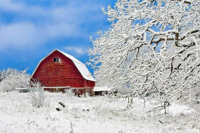Cottage In The Snow winter Scenery HD Wallpapers   1280x1024 ...