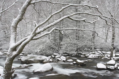 Anime Snow Scene Wallpapers » WallDevil   Best Free HD Desktop And ...