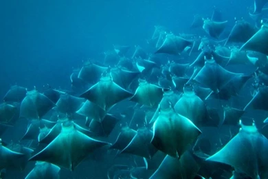 Bing Wallpapers Archive