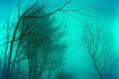 Wallpapers Lsd Free High Definition Widescreen Lcd 1280x1024 ...