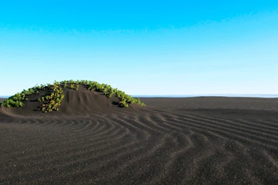 Black Sand Beach Wallpapers And Images   Wallpapers, Pictures, Photos