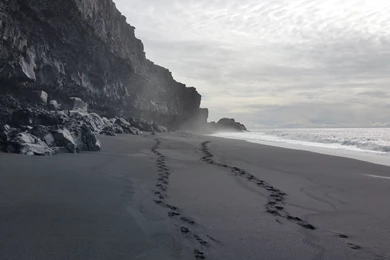 Black Sand Beach Backgrounds Wallpapers