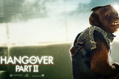 Movies, Hangover Part II Wallpapers HD / Desktop And Mobile ...