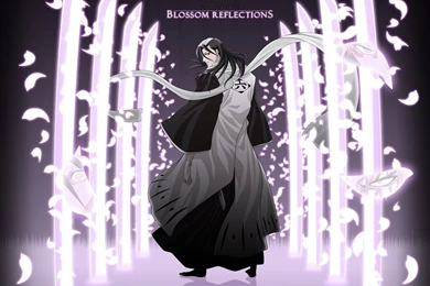 Wallpapers Bleach Bankai   Wallpapers Cave