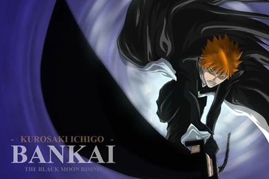 Ichigo Kurosaki Bankai Wallpapers   Wallpapers Cave