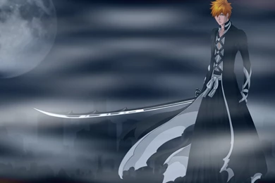 Bankai Wallpapers   Wallpapers Cave