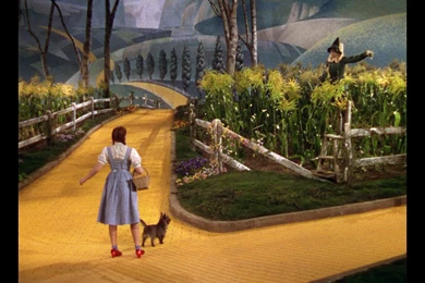 Wallpapers Wizard Of Oz The 1920x1080