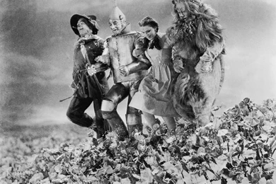 WIZARD OF O Z Adventure Family Fantasy Movie Film Wizard of oz (49 ...