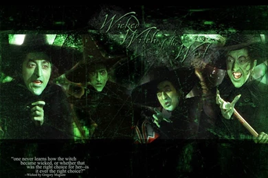 Wicked Witch   The Wizard Of Oz Wallpapers (16714520)   Fanpop