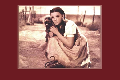 Dorothy And Toto   The Wizard Of Oz Wallpapers (4640619)   Fanpop