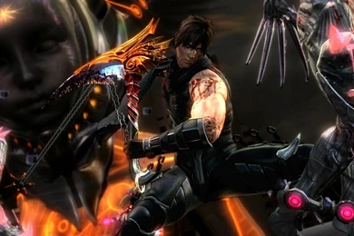 Games Movies Music Anime: Ninja Gaiden 3: Razor's Edge (PS3, Xbox ...