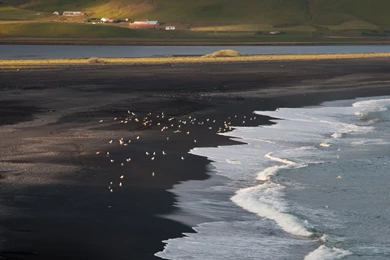 Evanescent Light : Iceland   Sea