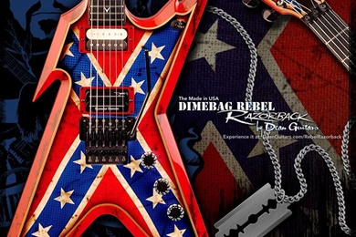 Pantera Wallpaper, Picture, Photo, Image