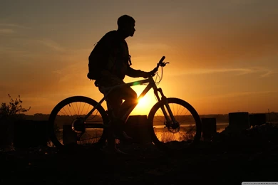 Cycling, Bicycle, Shadow Of A Man Wallpapers And Images ...